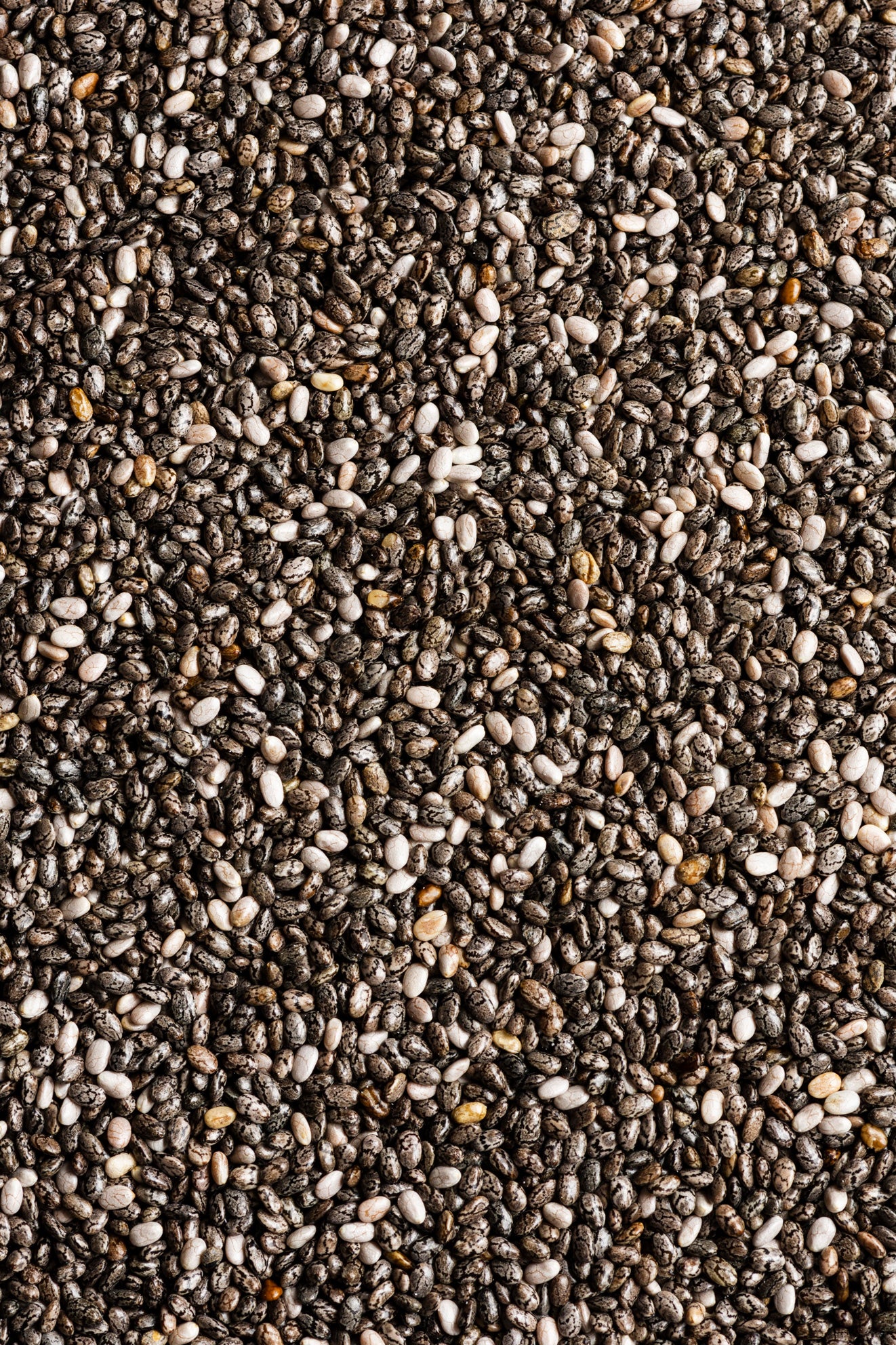 Chia Seed Extract