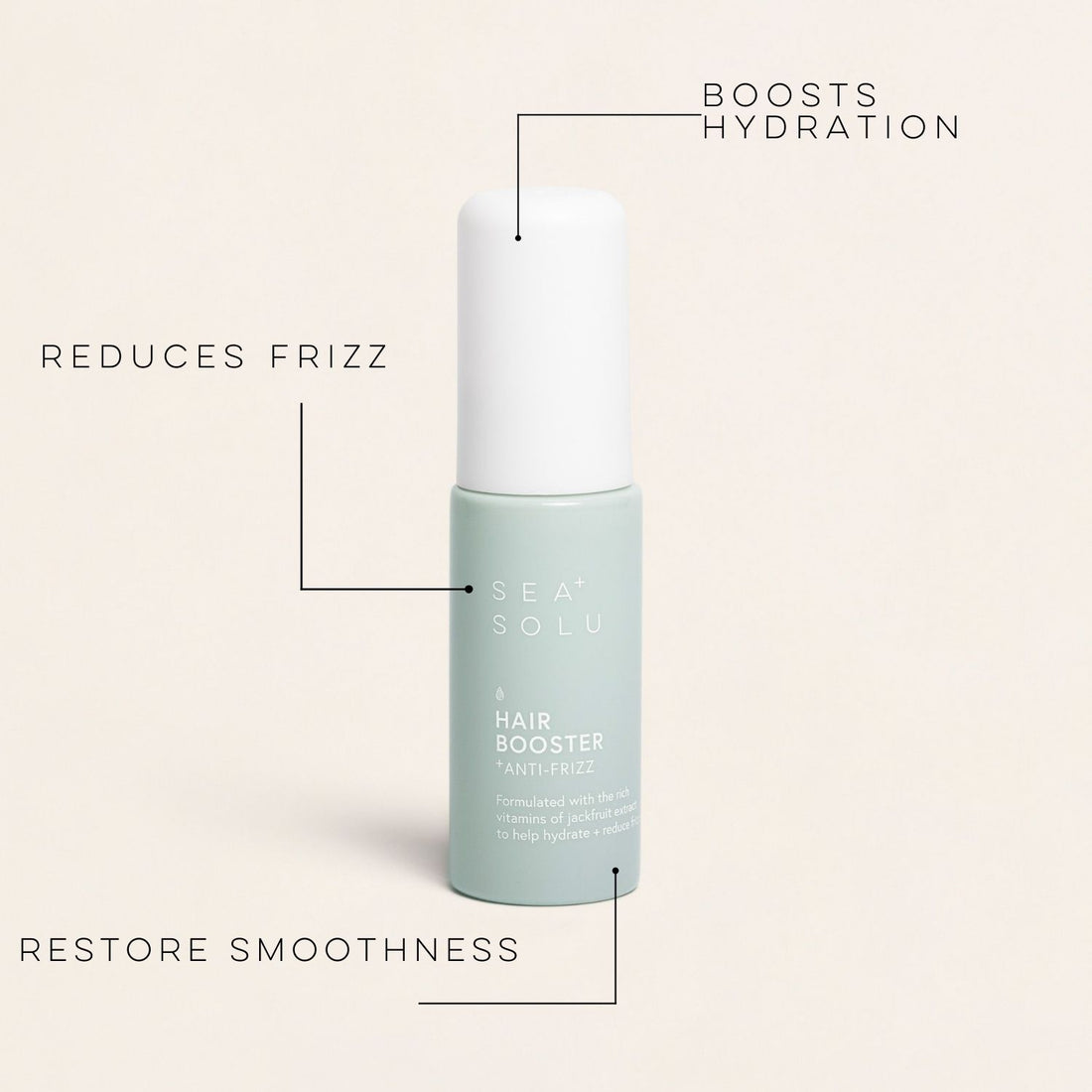 Anti-Frizz Hair Booster