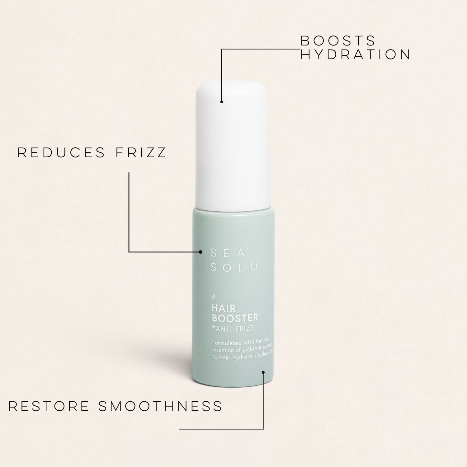 Anti-Frizz Hair Booster